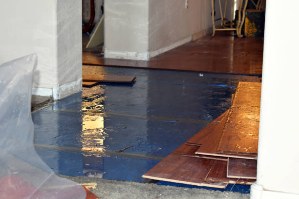 Professional Burst Pipe Cleanup technician working in Rockford, IL